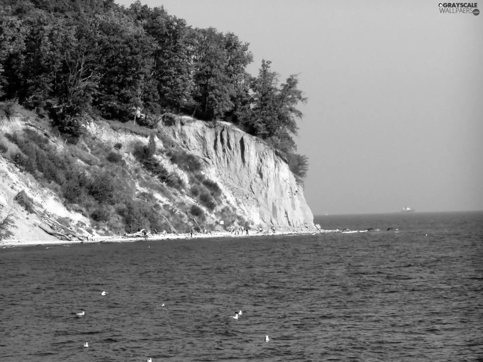 cliff, Orlowski