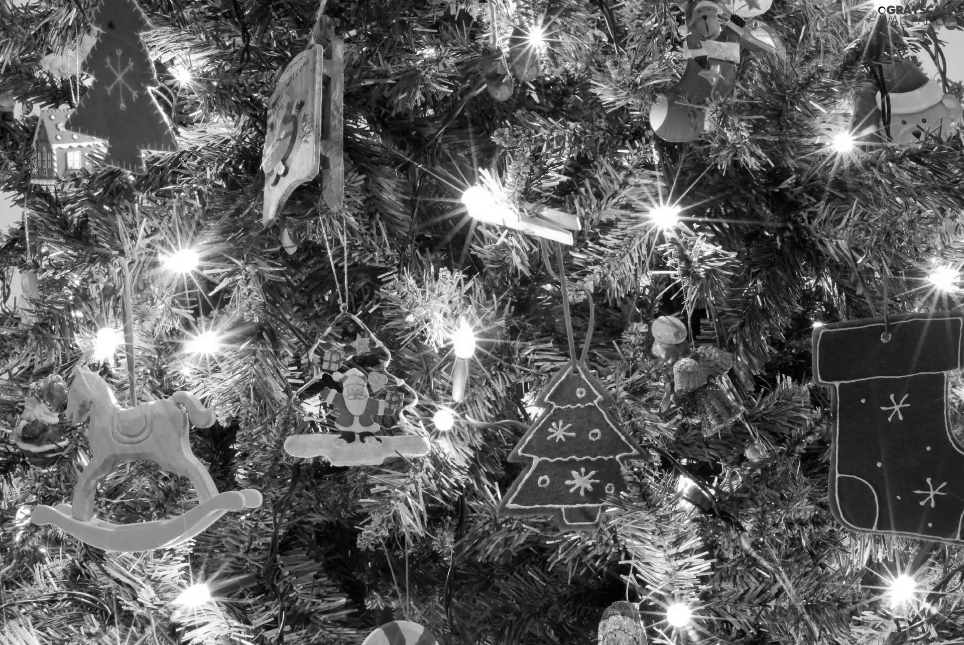 lights, christmas tree, ornamentation