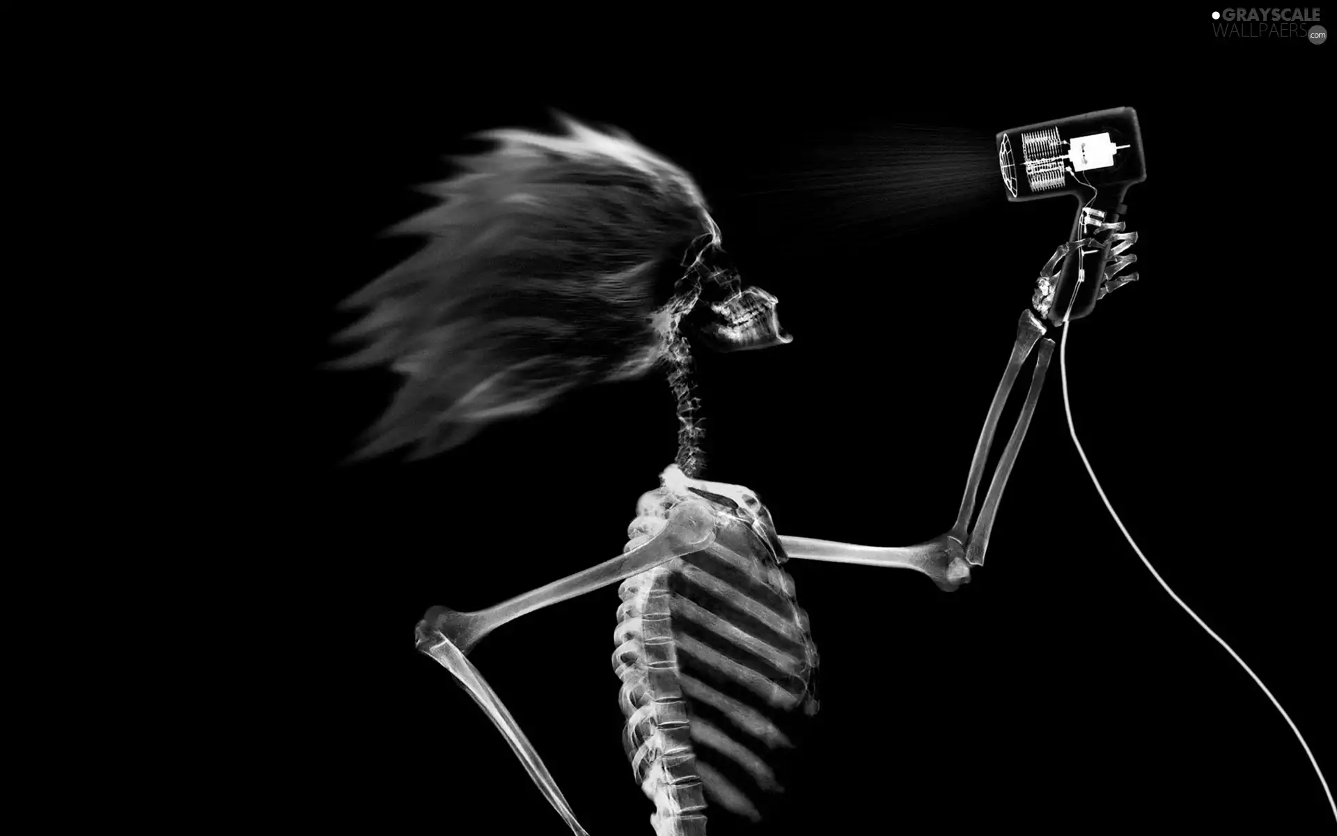 skeleton, oven