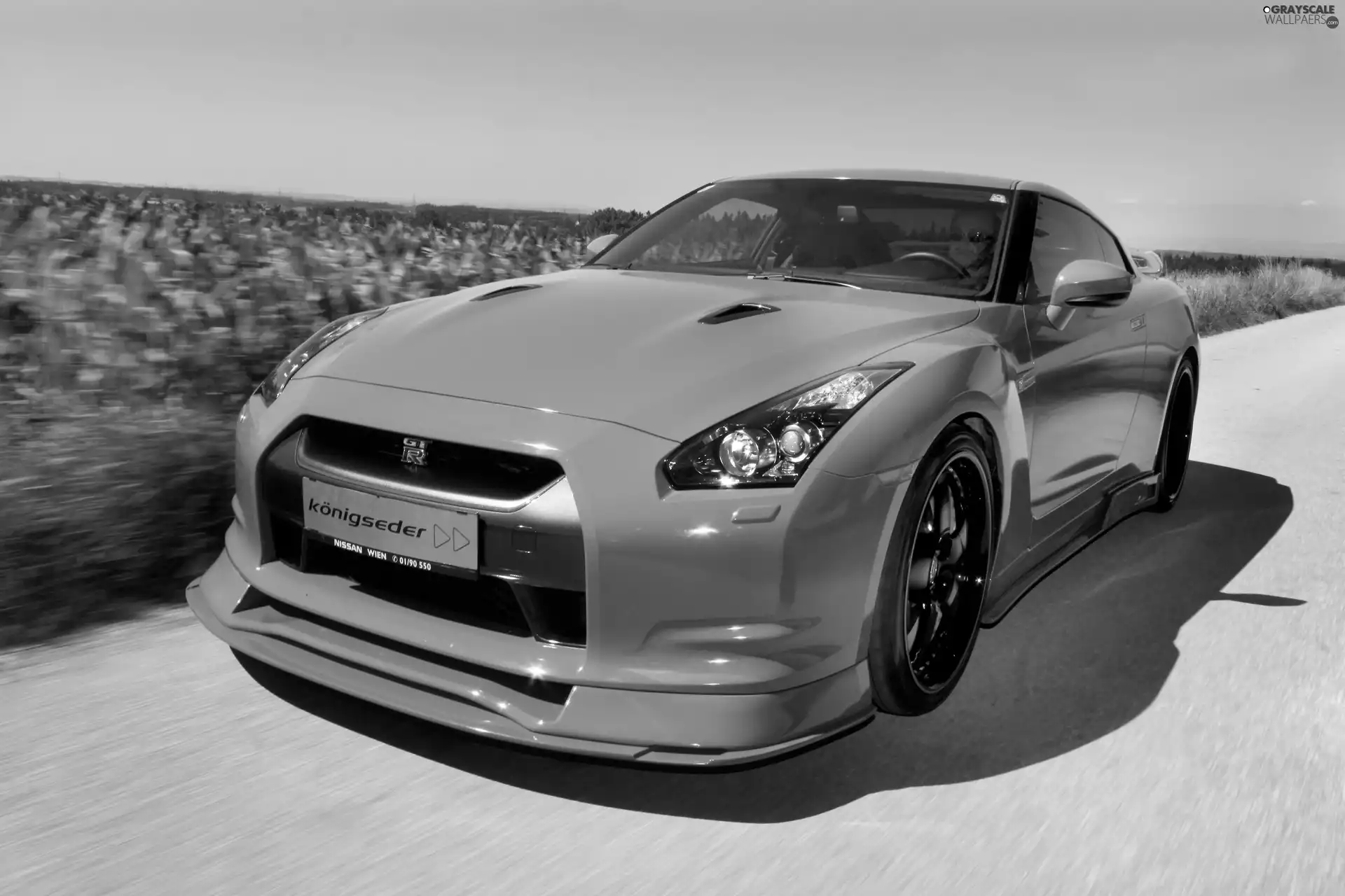 Konigseder, Nissan GT-R, pack
