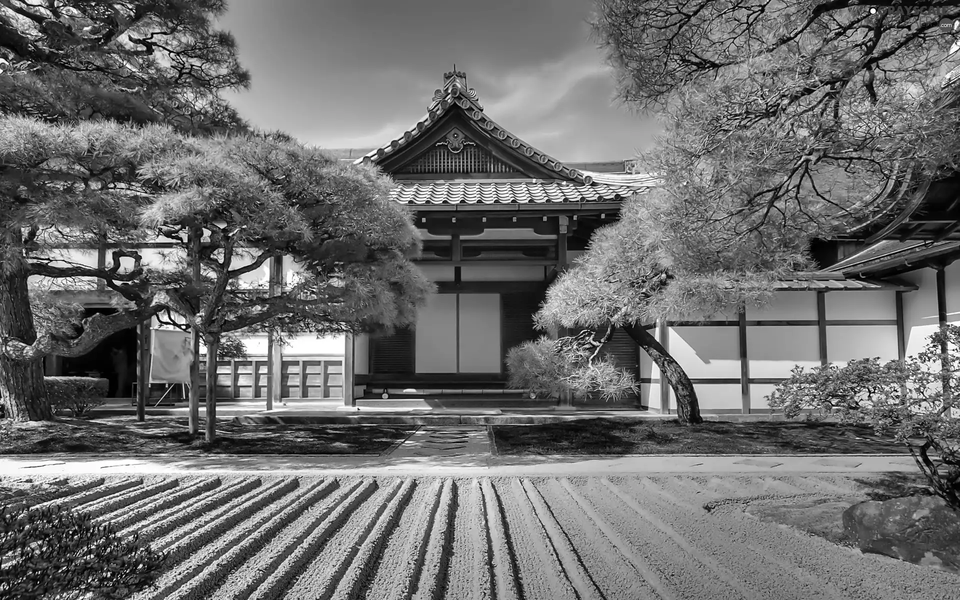 pagoda, Asian, temple