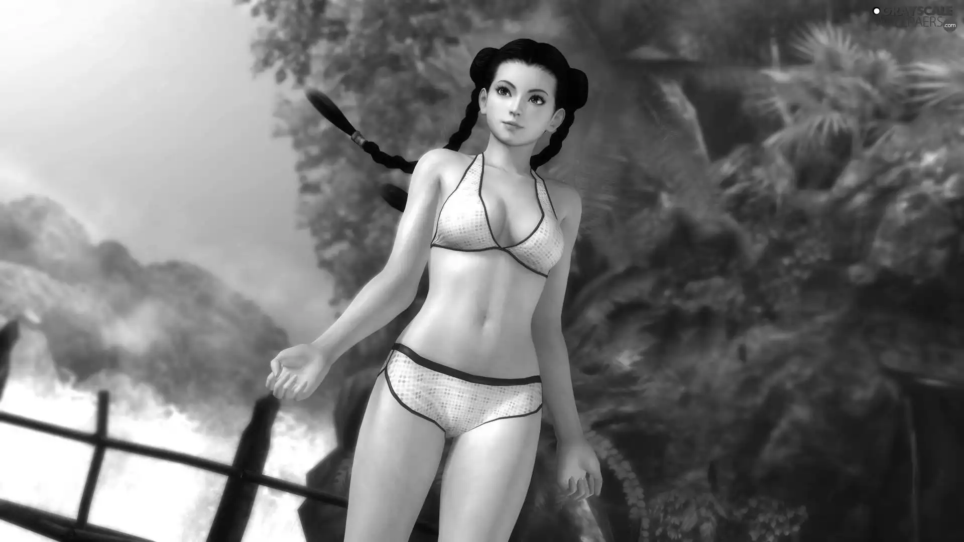 Dead Or Alive 5, Pai