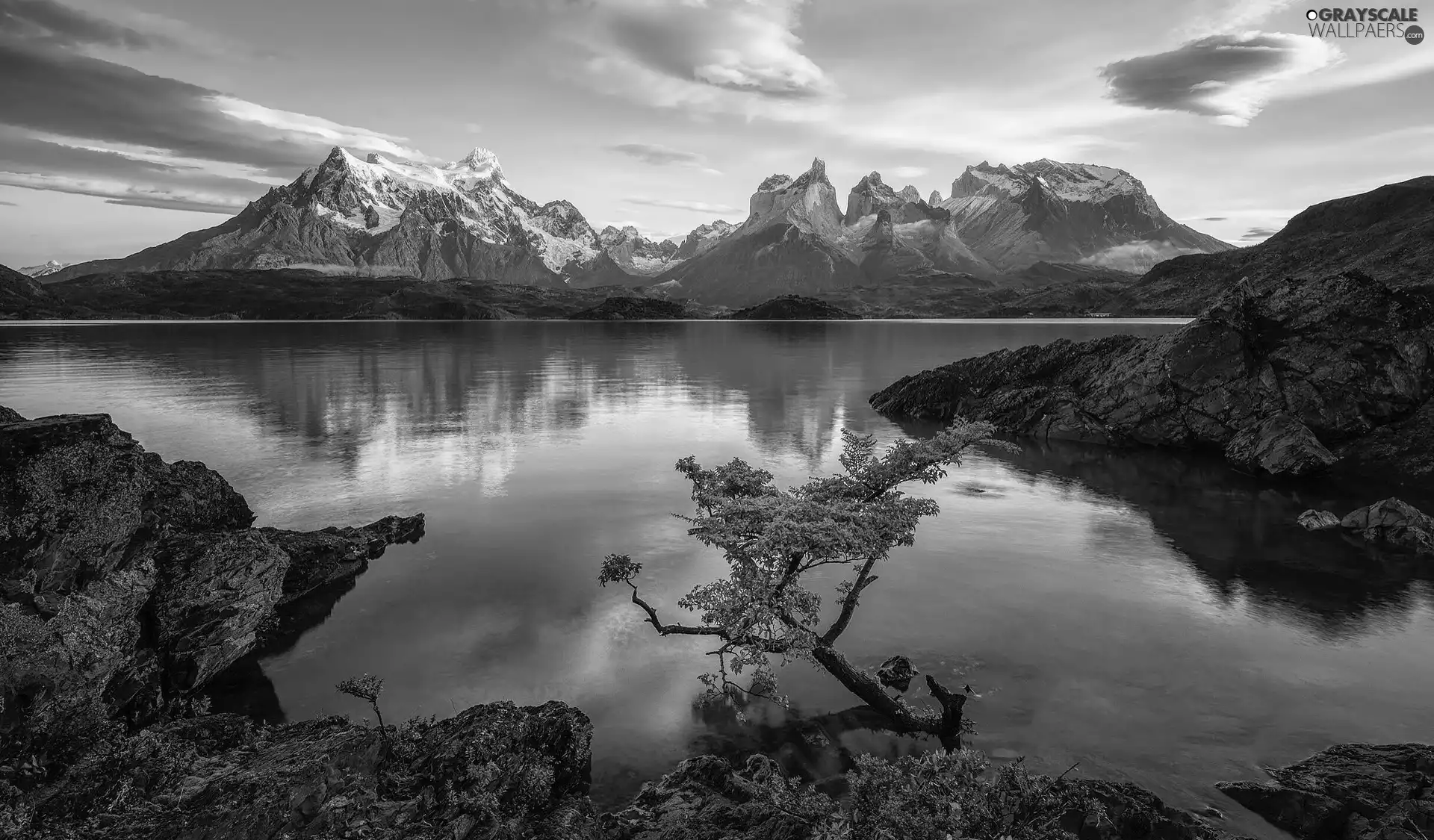 rocks, Lake Pehoé, Patagonia, trees, Torres del Paine National Park, Cordillera del Paine Mountains, Chile