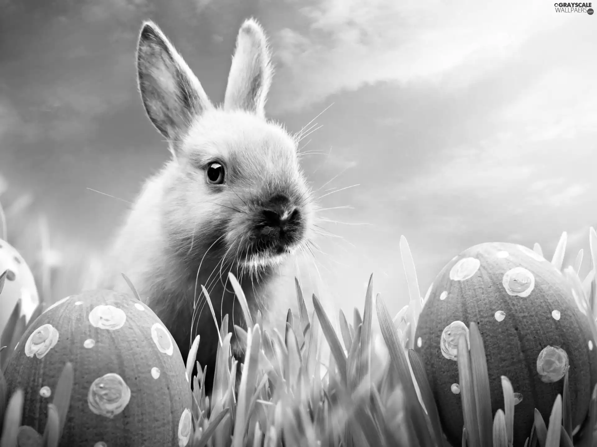 rabbit, grass, Painting, Green