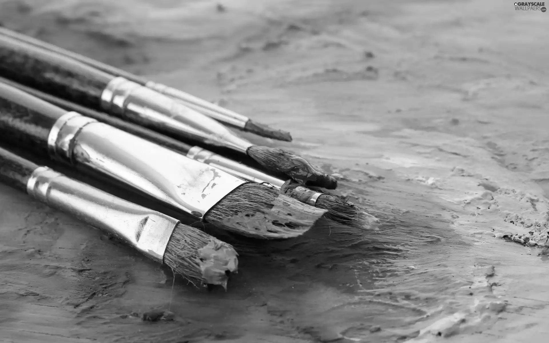 Brushes, Paints