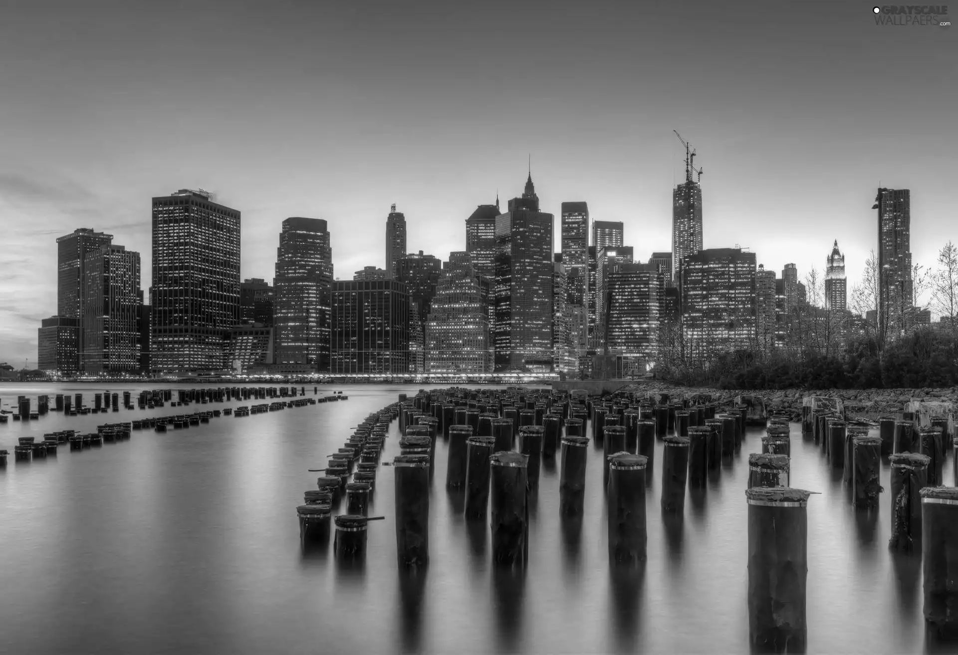 Pale, skyscrapers, water