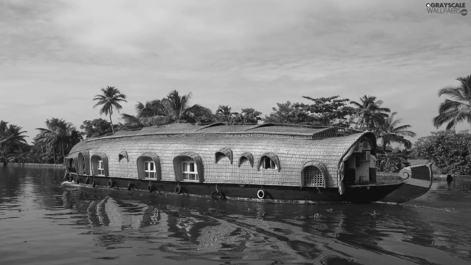 ark, River, Palms, house