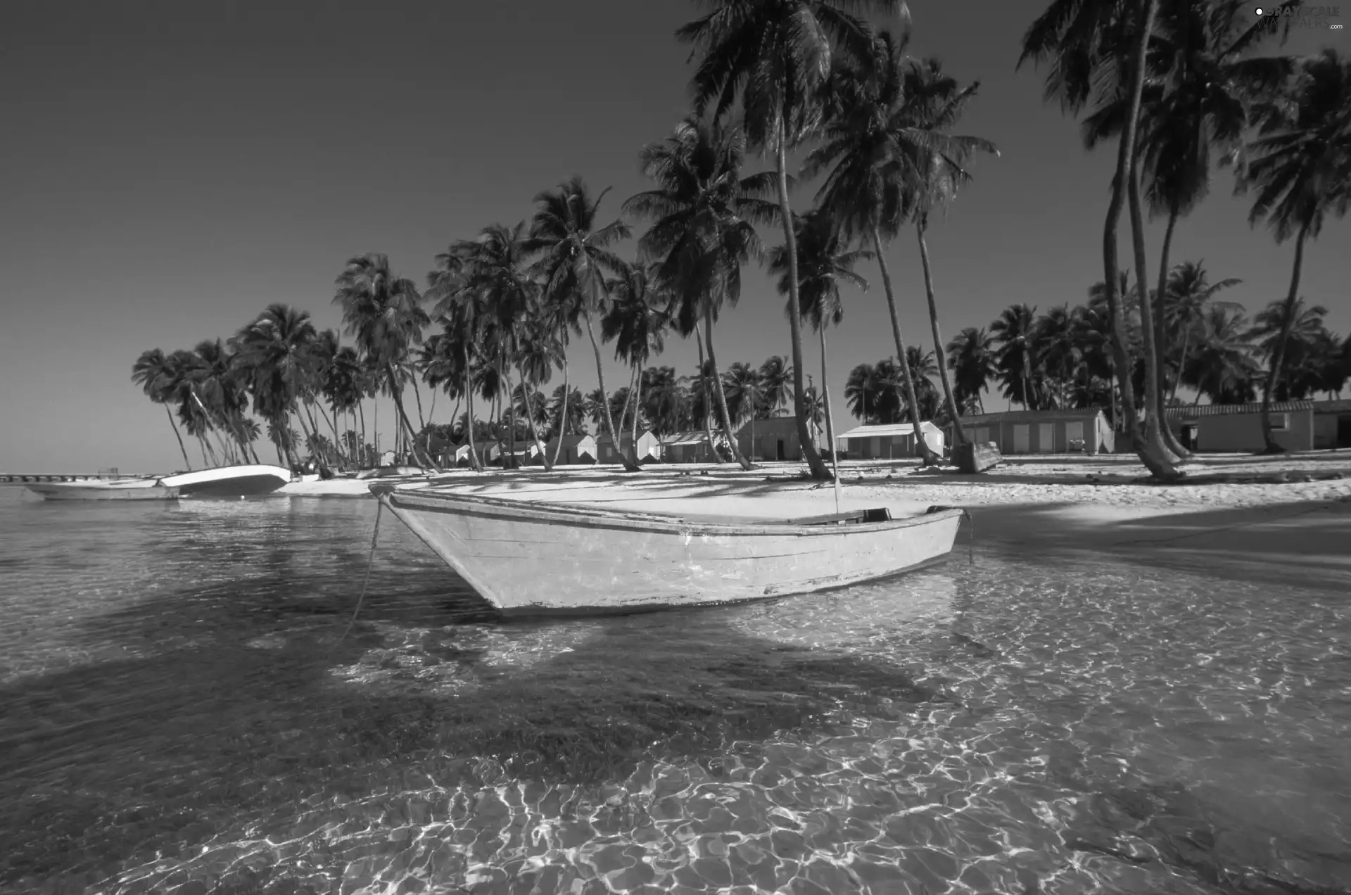 Beaches, Houses, Palms, boats