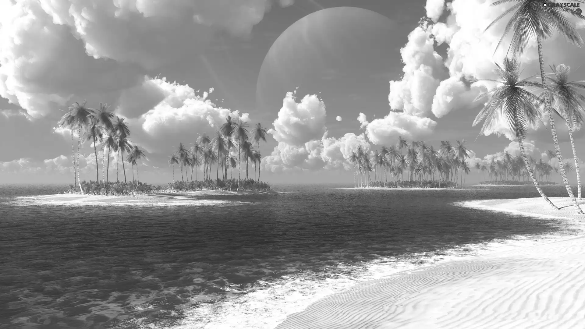 Beaches, Islands, Palms, sea