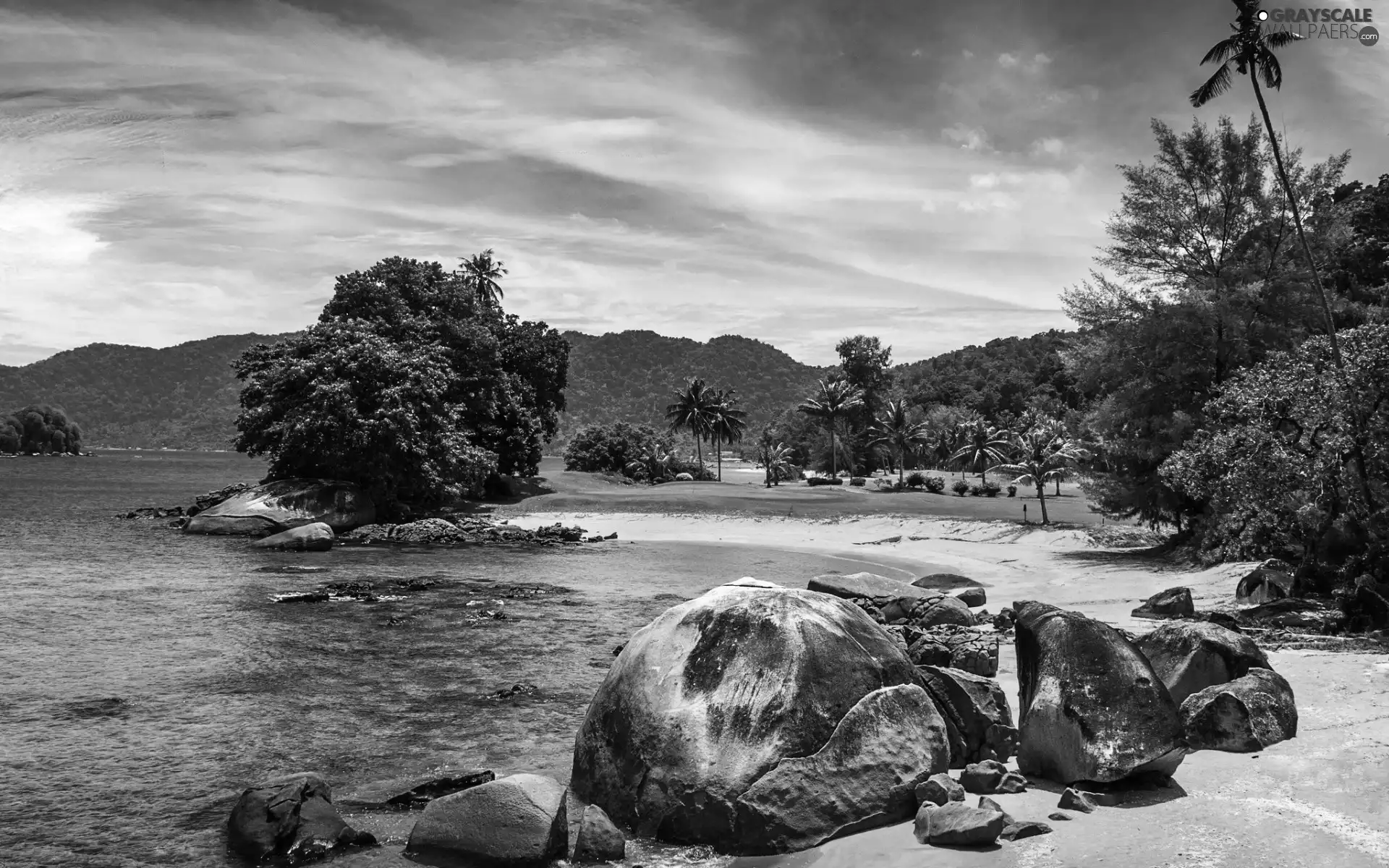 Beaches, rocks, Palms, sea