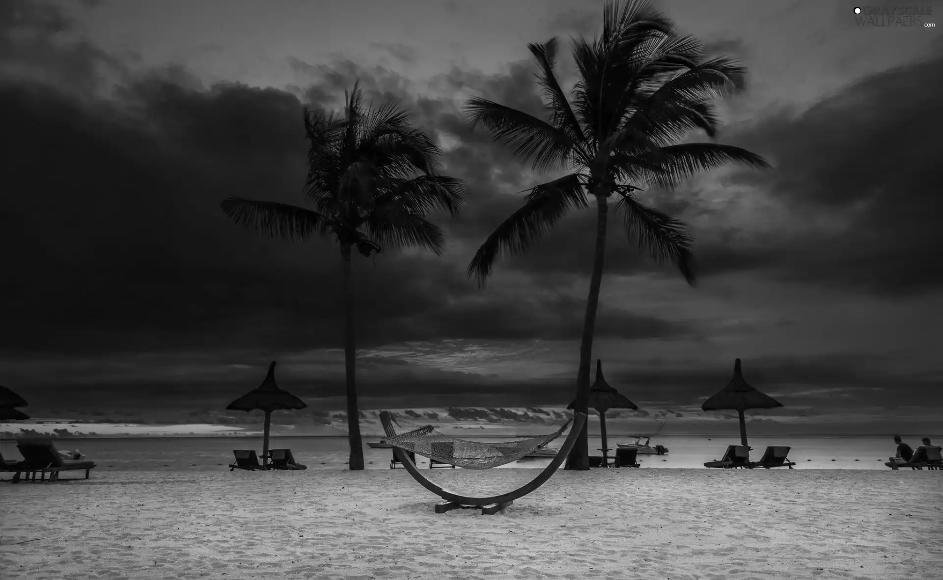 Palms, sea, Beaches