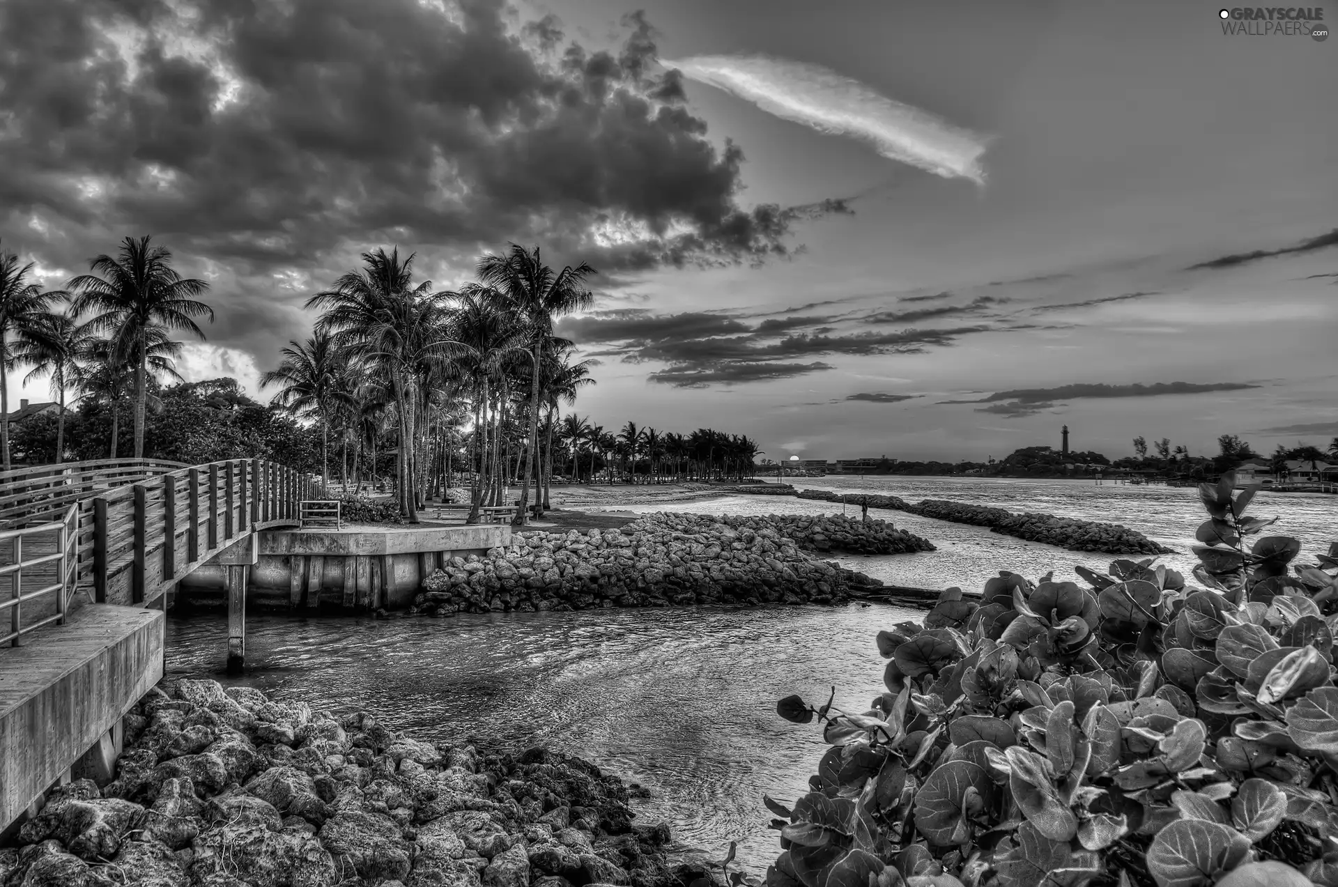 Palms, bridges, sun, lake, west