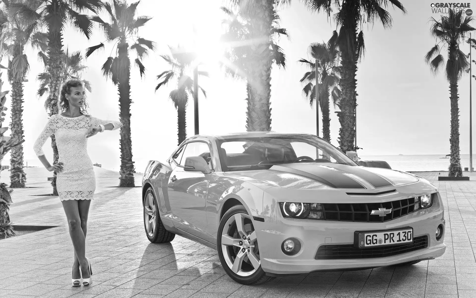 Yellow, Women, Palms, Chevrolet Camaro