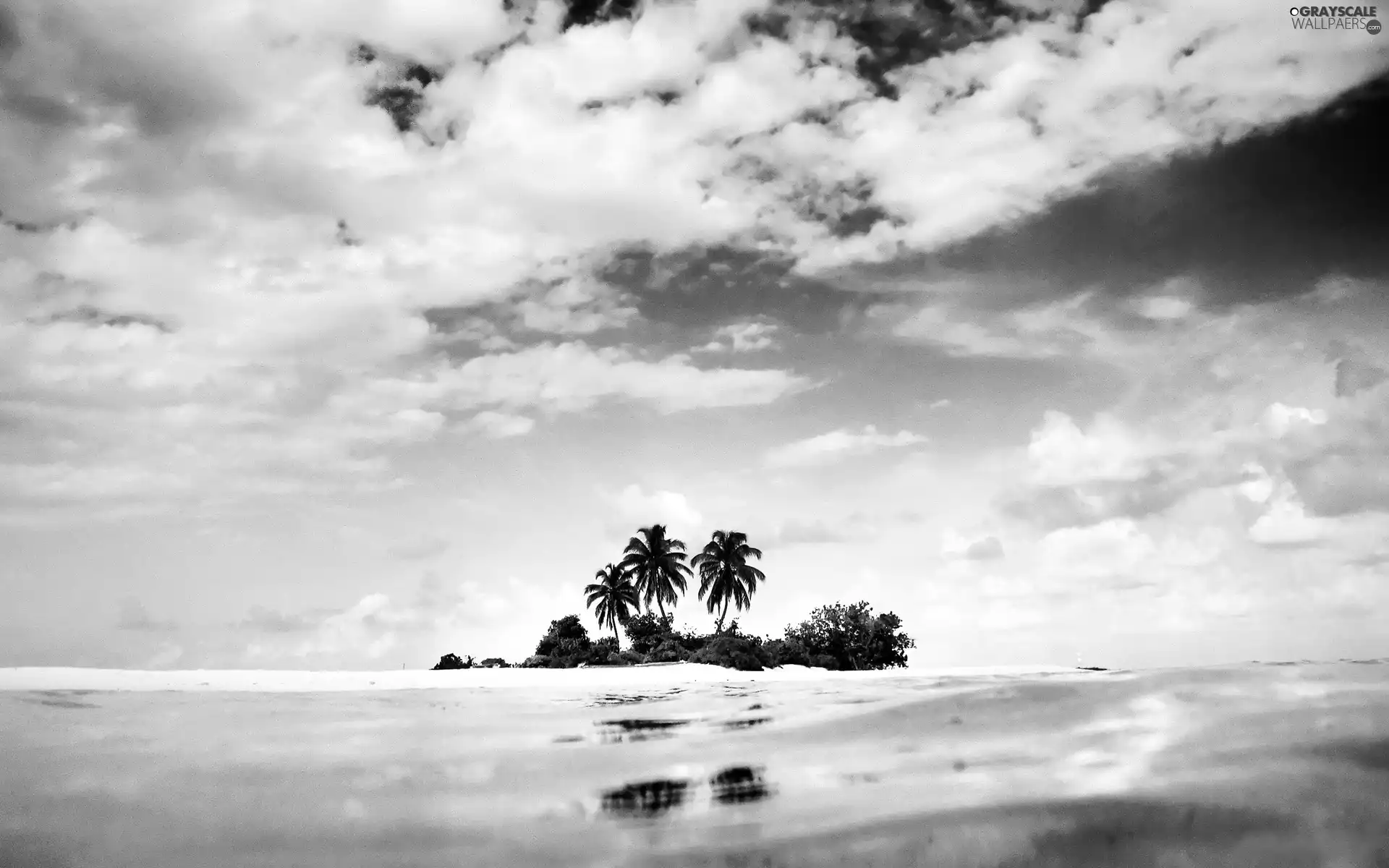 Palms, sea, clouds