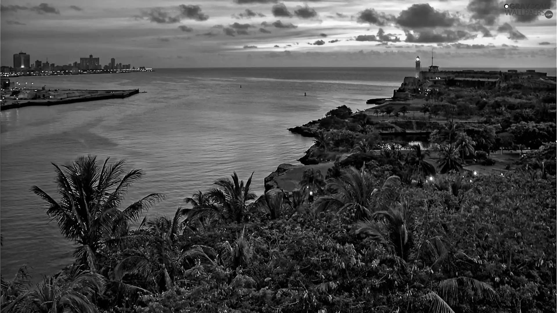 Palms, sea, clouds