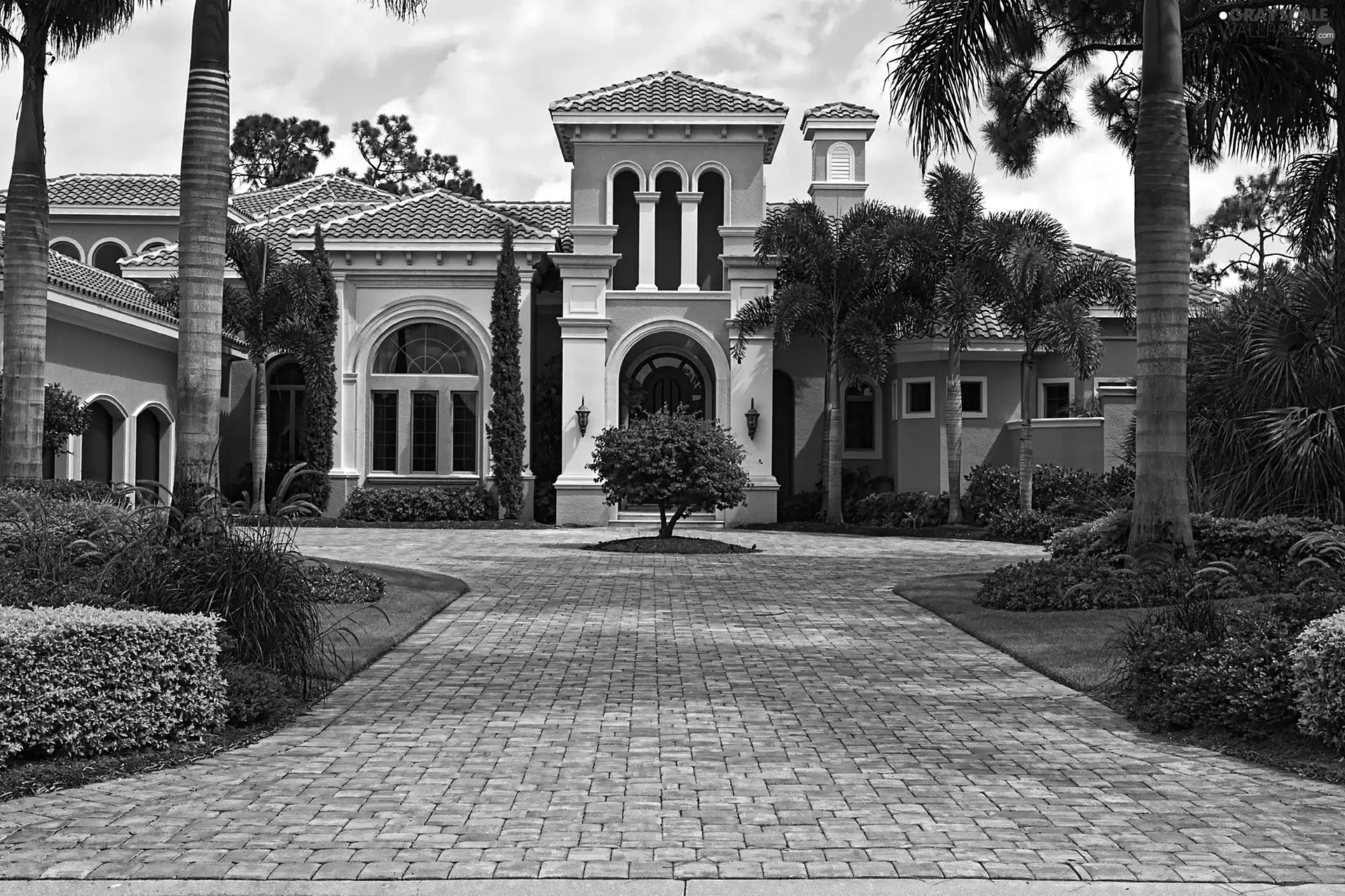 Palms, driveway, villa, residence, house