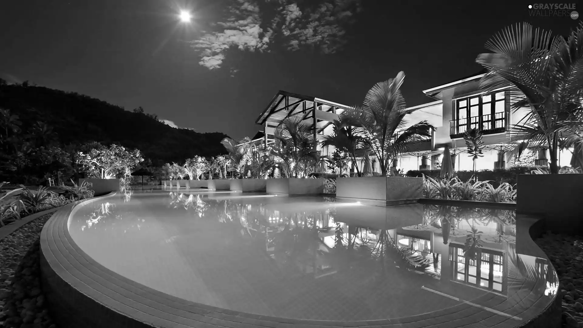 Pool, Hotel hall, Palms, Night, luminosity, Moon, sun, flash, ligh