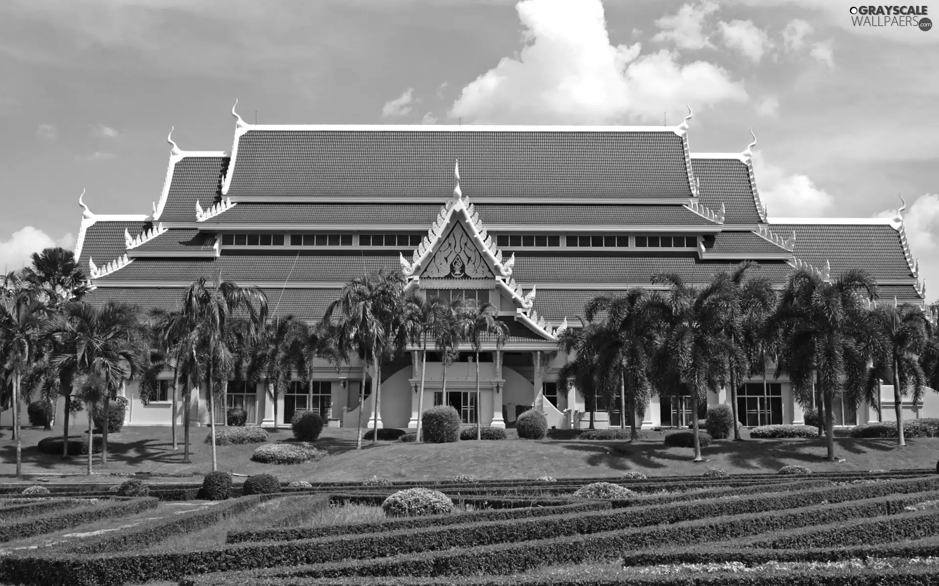 Palms, Mansion, Garden