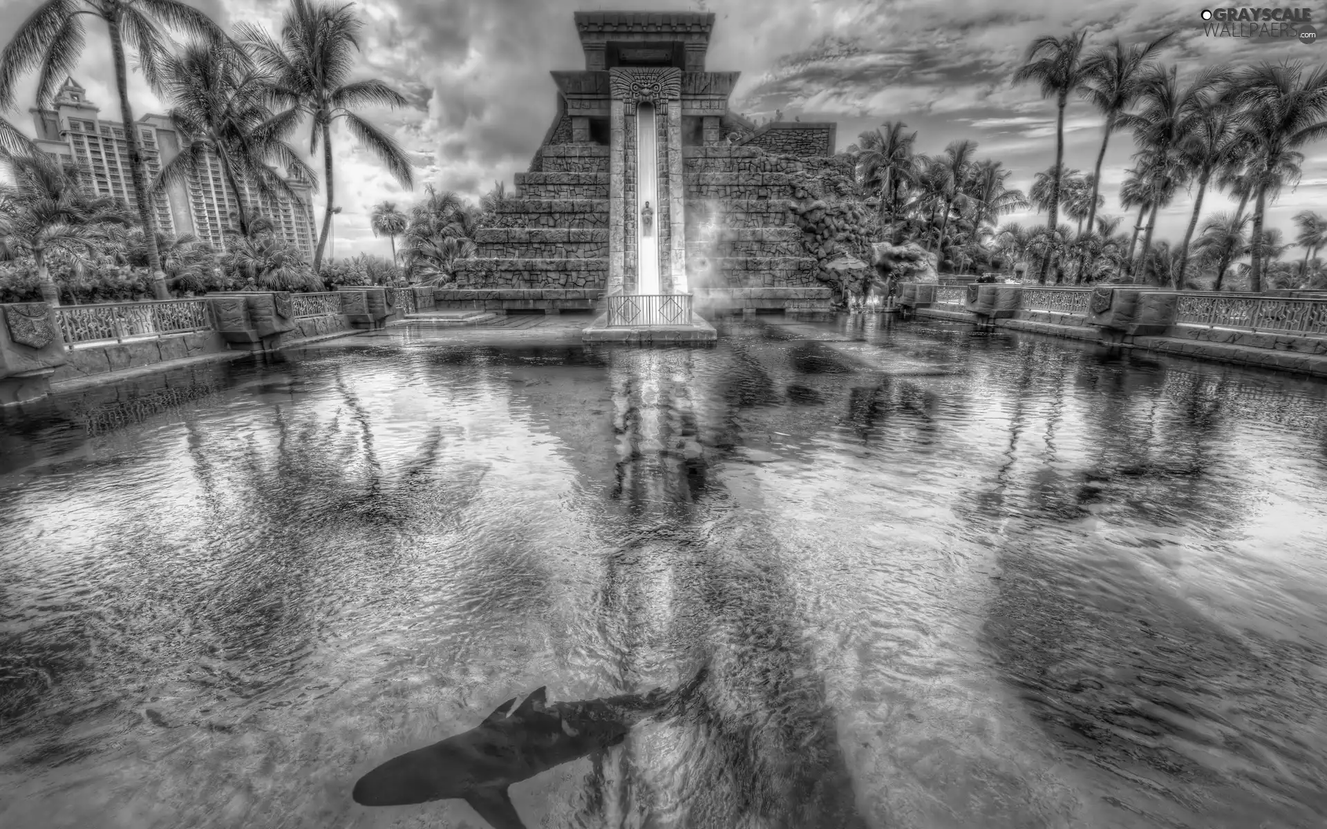 Hotel hall, chute, Palms, water