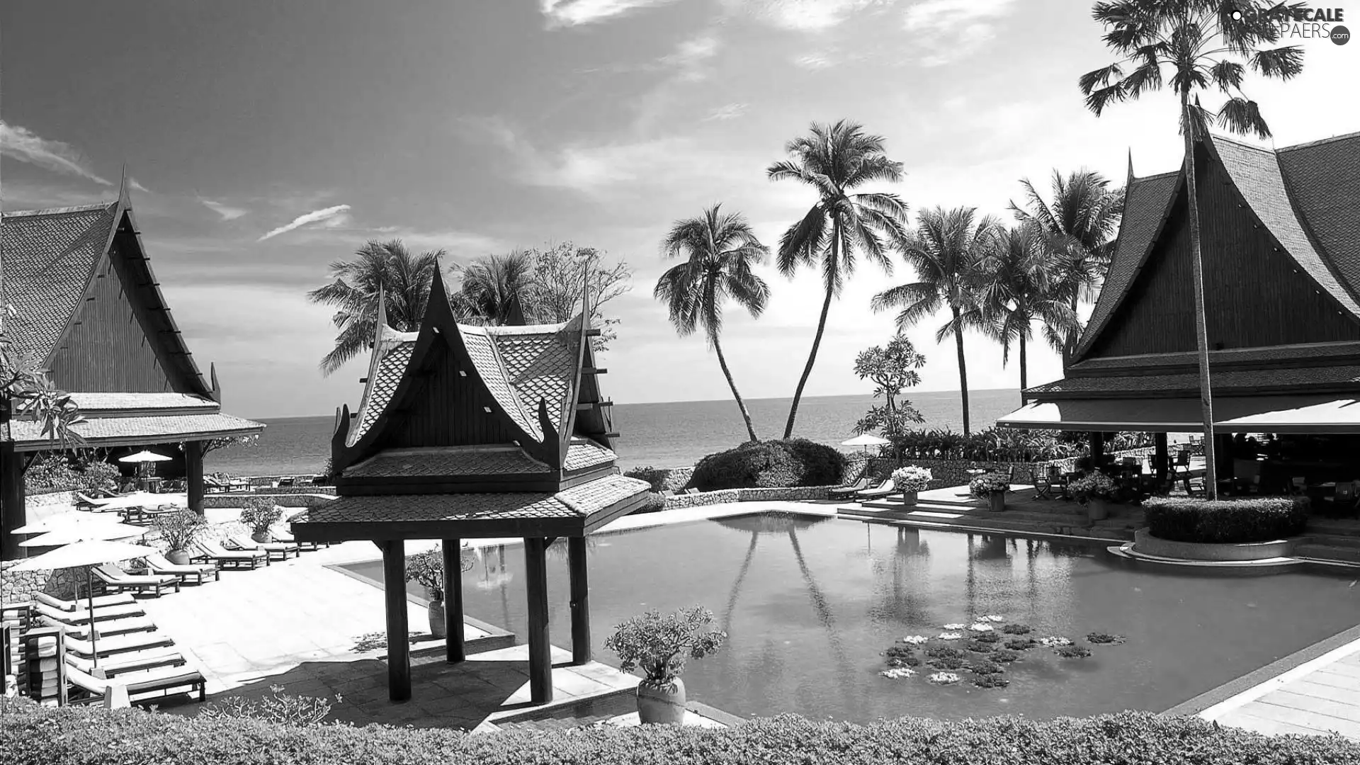 Palms, Hotel hall, Pool, sea, house