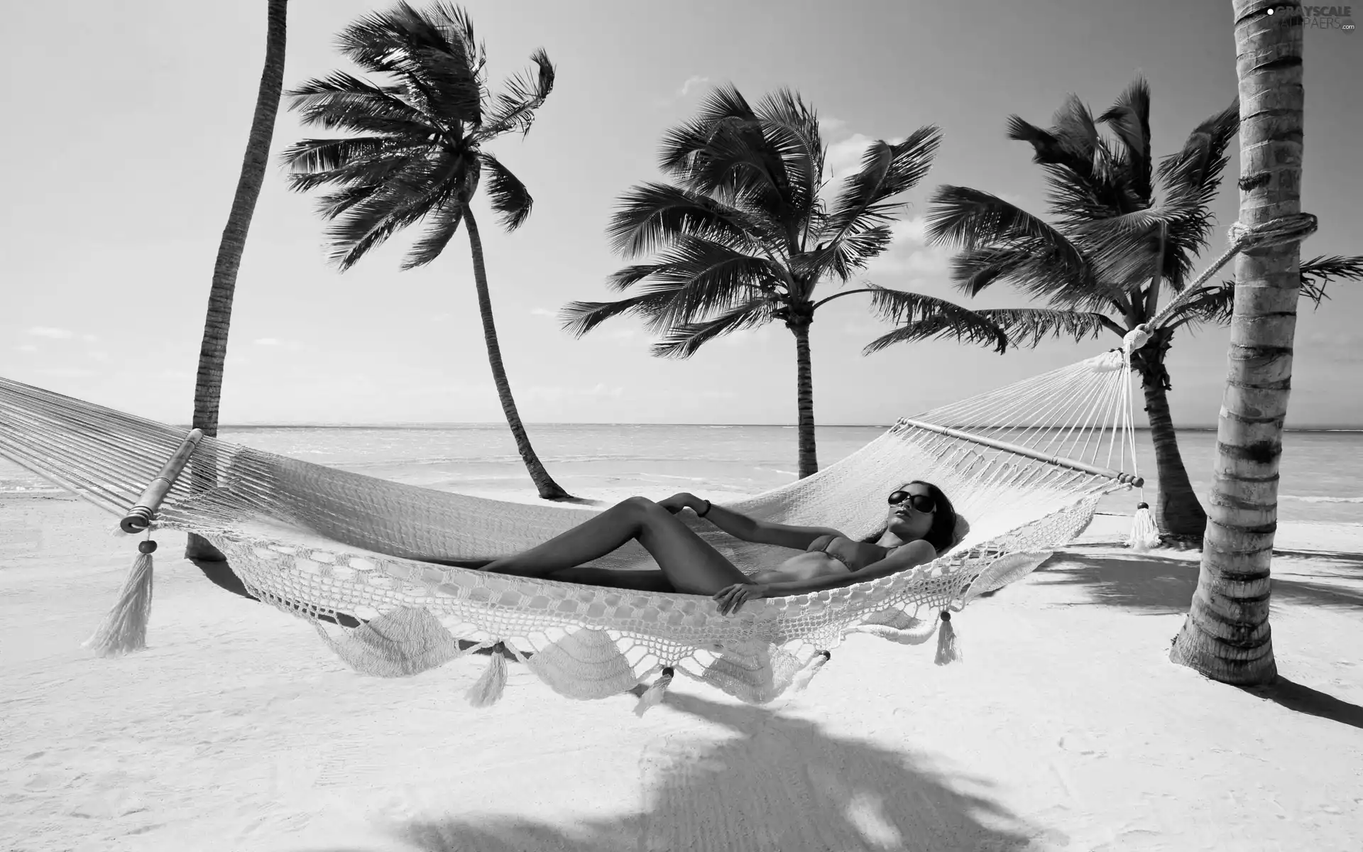 girl, Palms, holiday, Hammock