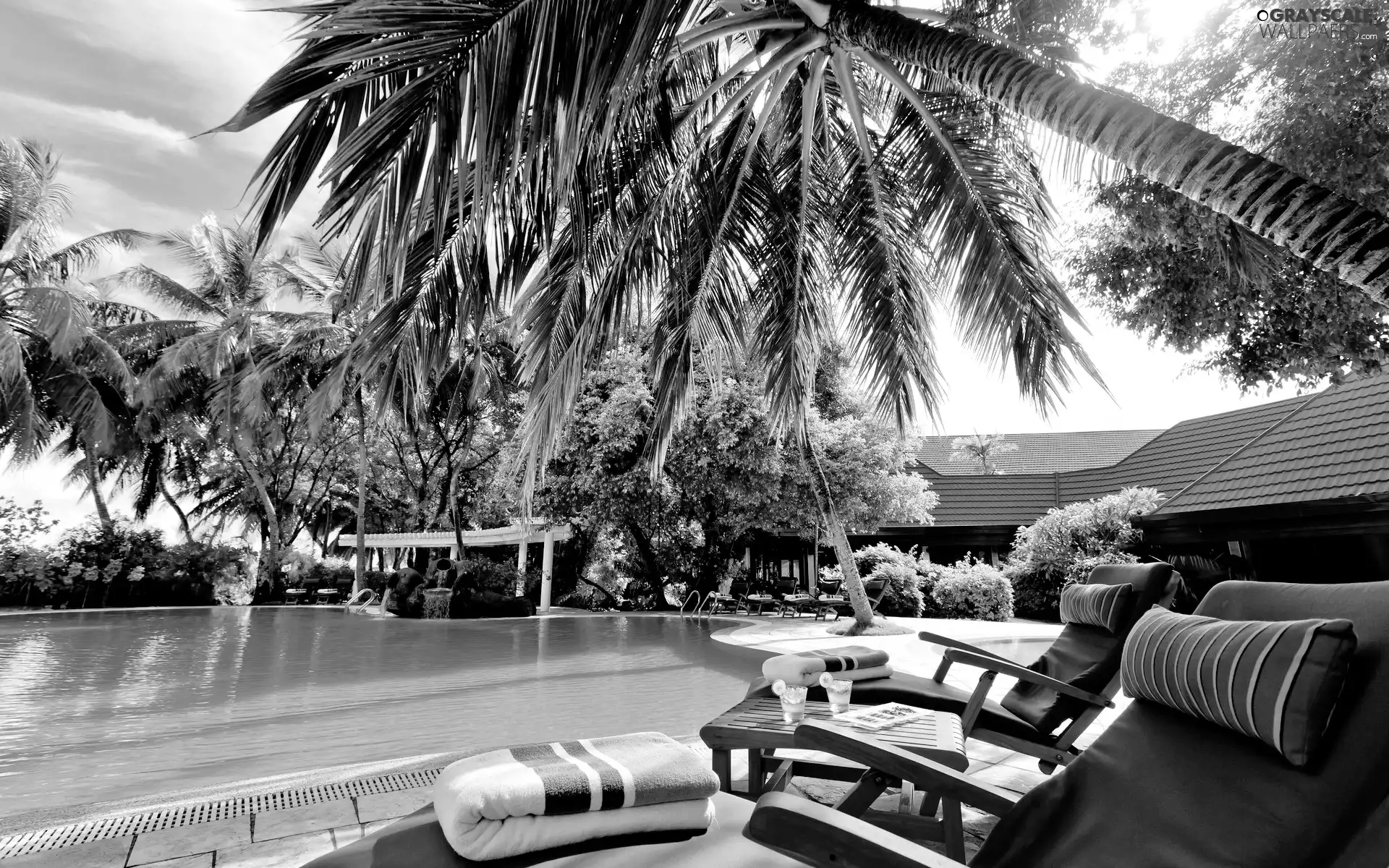 Malaysia, Pool, Palms, Hotel hall