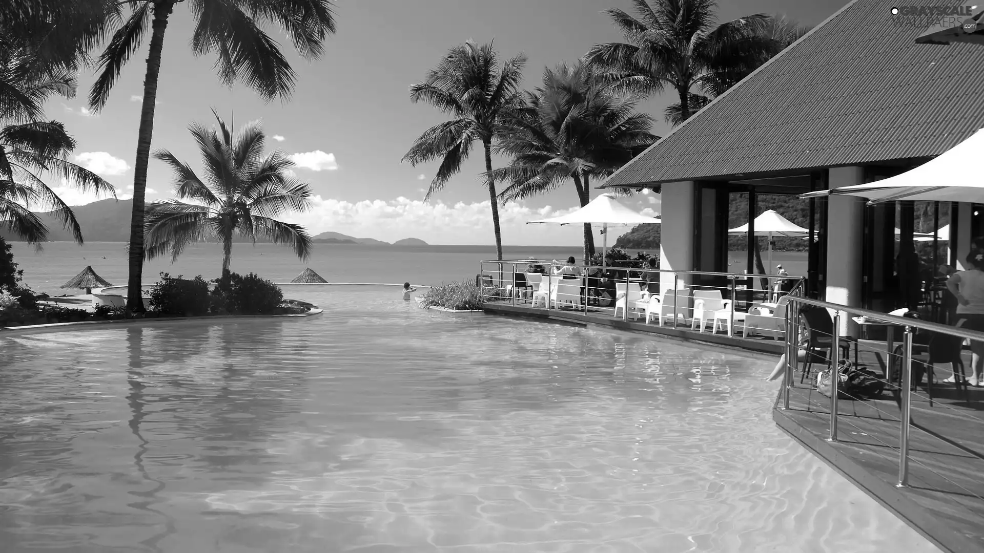 house, sea, Palms, Pool