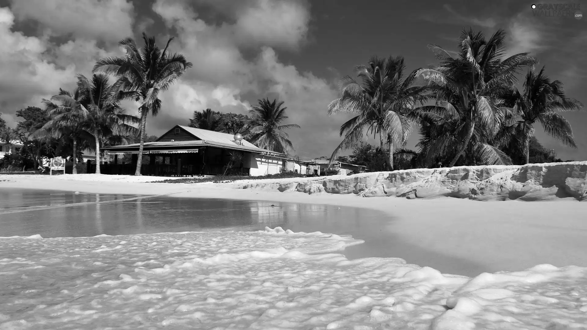 Palms, sea, house