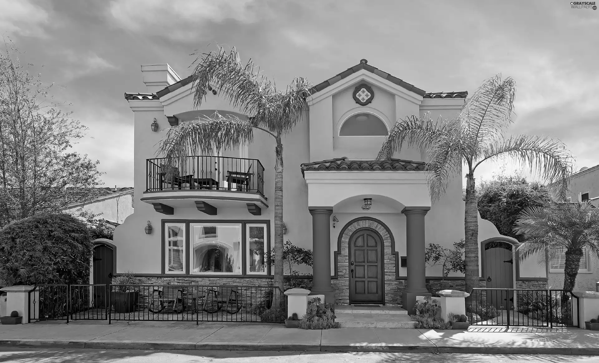 Palms, stately, house