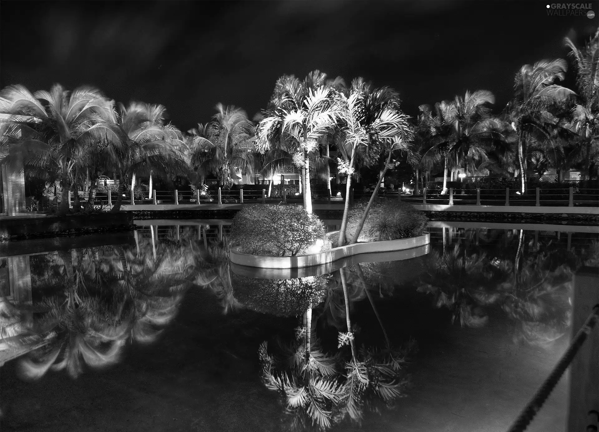 Palms, Night, Las Morles, Pool, Cuba