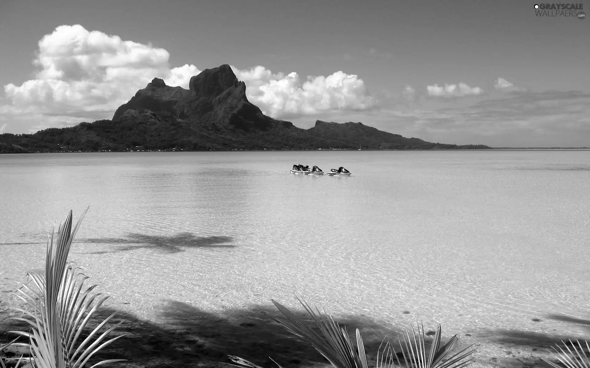 Palms, Coast, Mountains