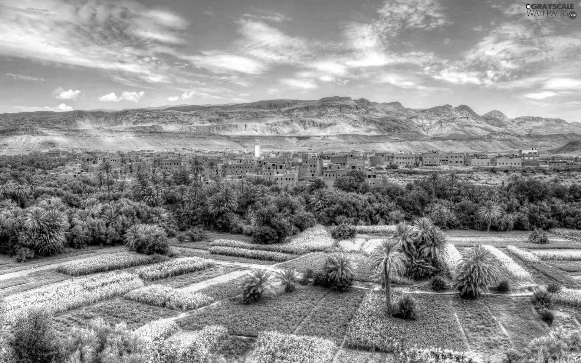 Mountains, crops, Palms, Town