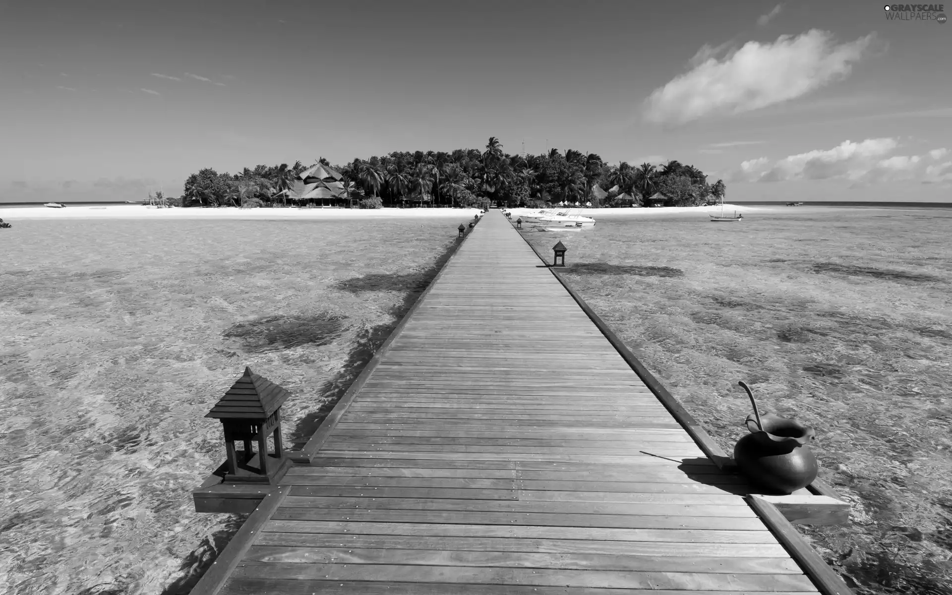 Palms, sea, pier