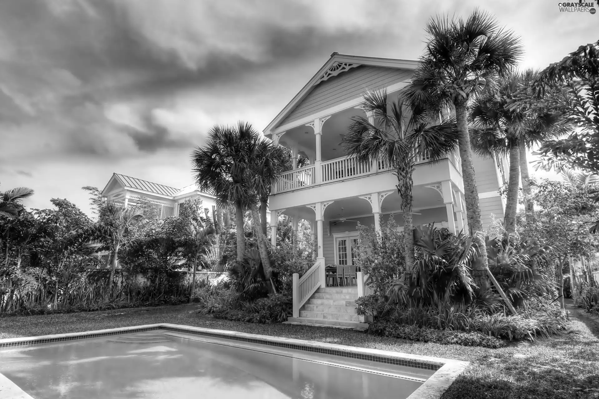 Palms, house, Pool