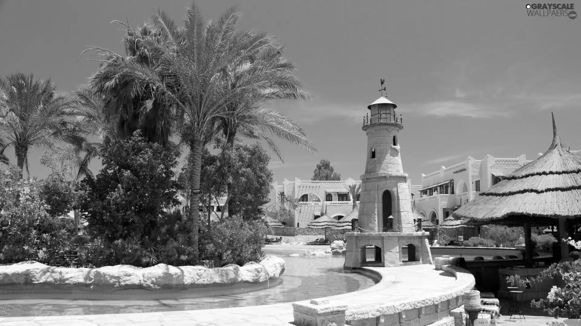 Palms, Lighthouse, Pool
