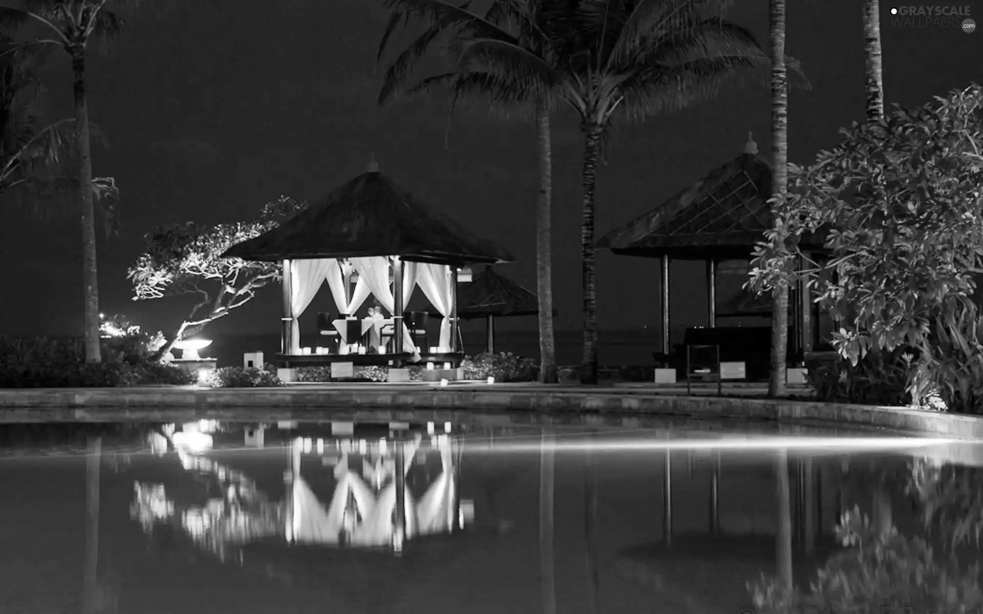 Palms, Restaurant, Pool
