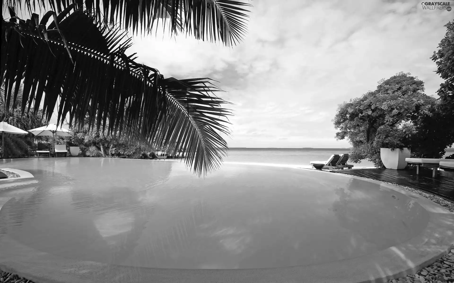 Palms, sea, Pool