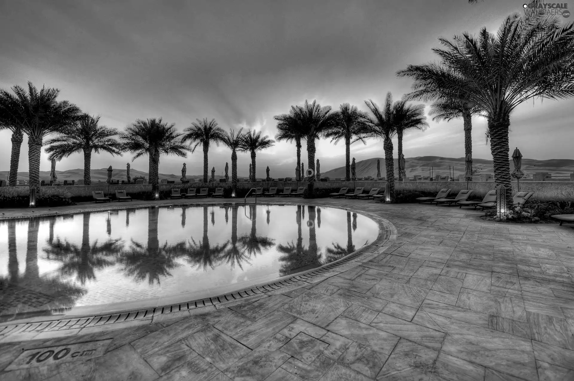 Pool, Great Sunsets, Palms, Park