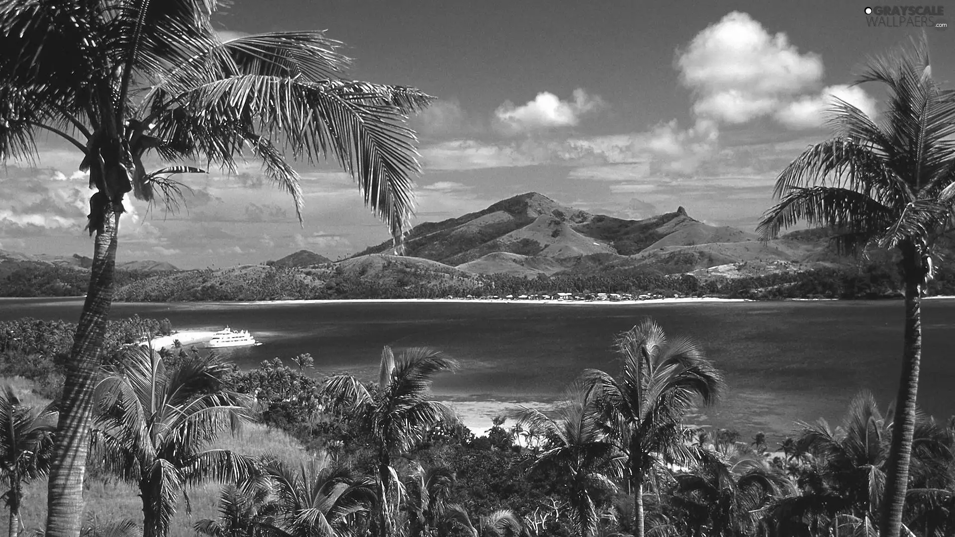 River, Passenger Ships, Palms, Mountains