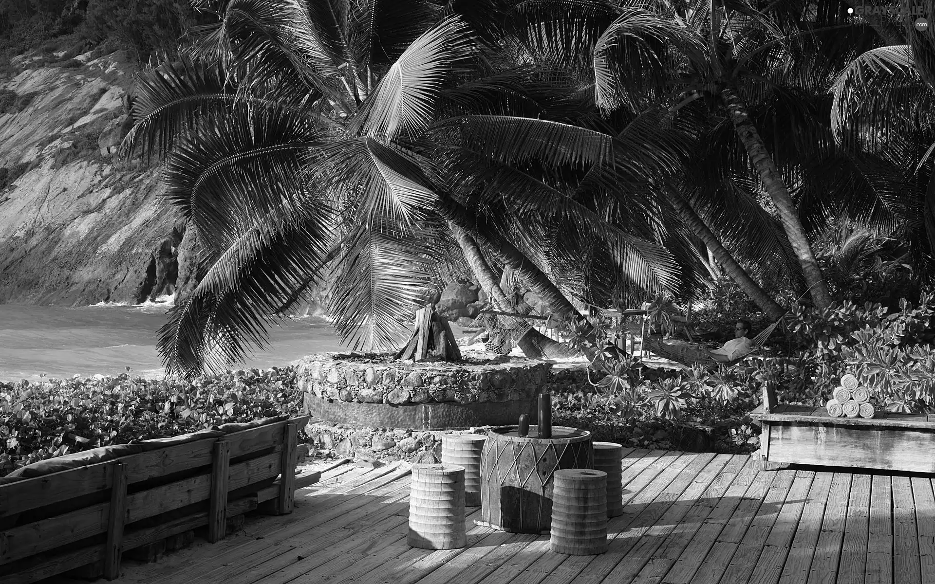Palms, Hotel hall, rocks, Seychelles, Ocean, terrace