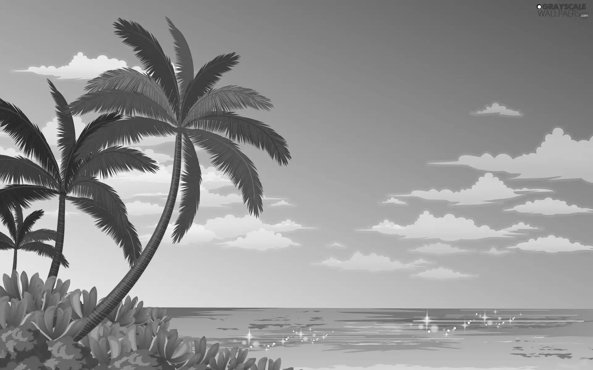 sea, Palms