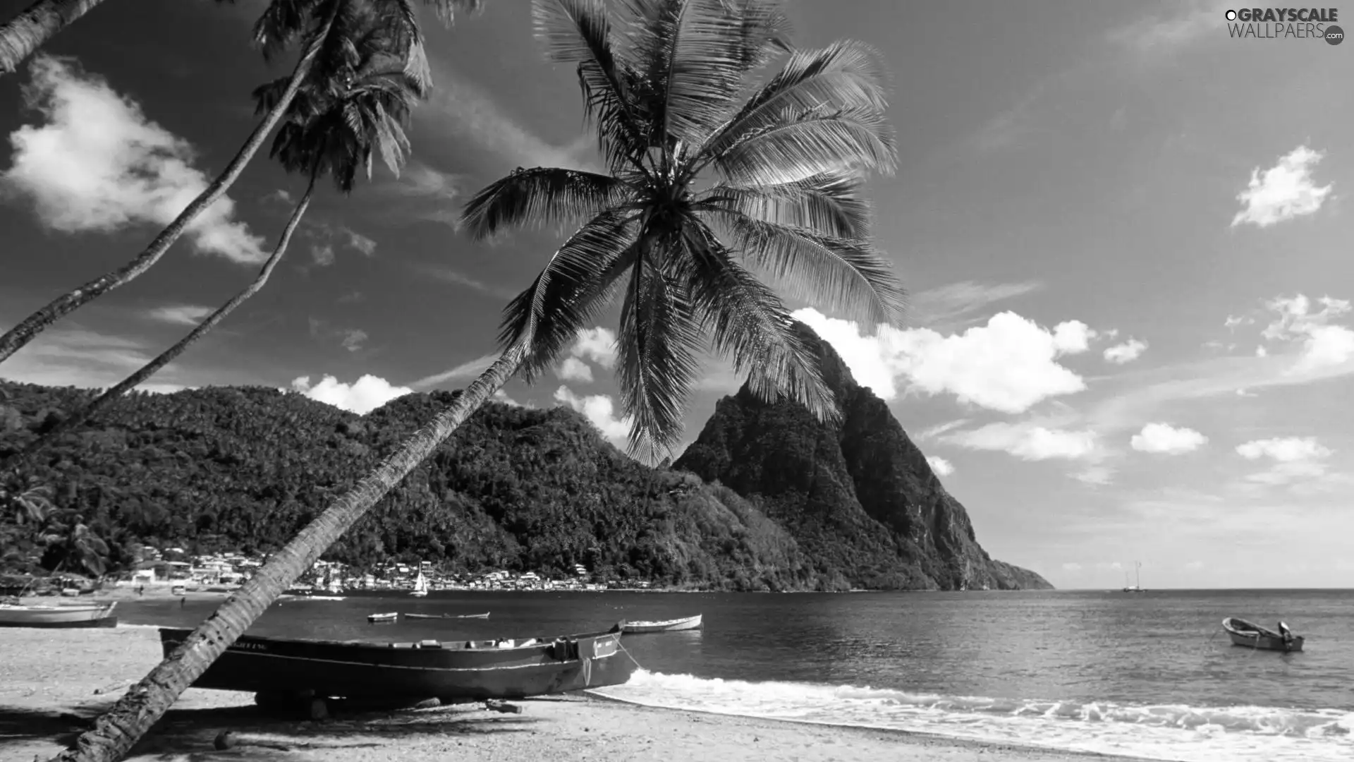 sea, boats, Palms, Mountains