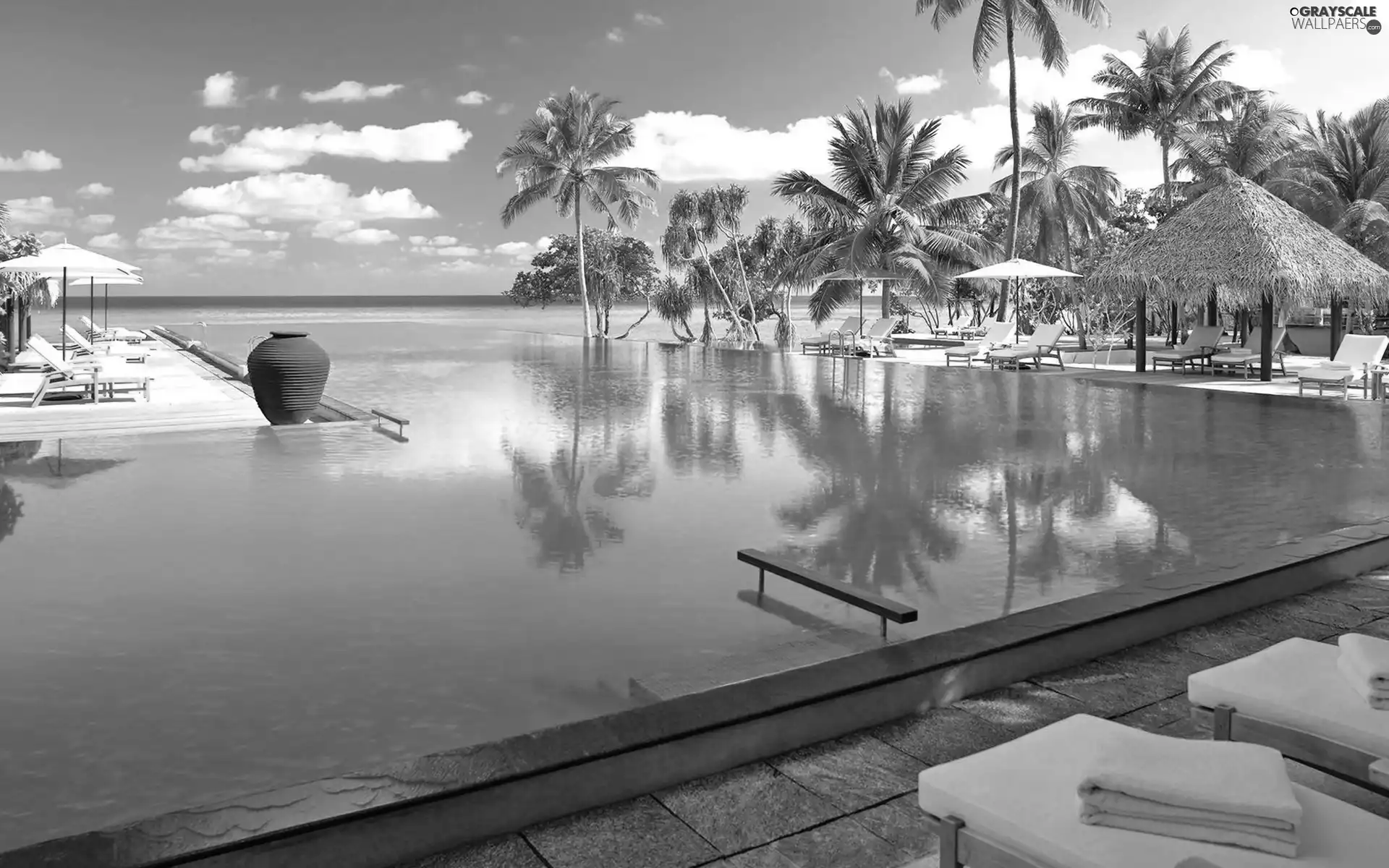 Pool, Palms, holiday, deck chair