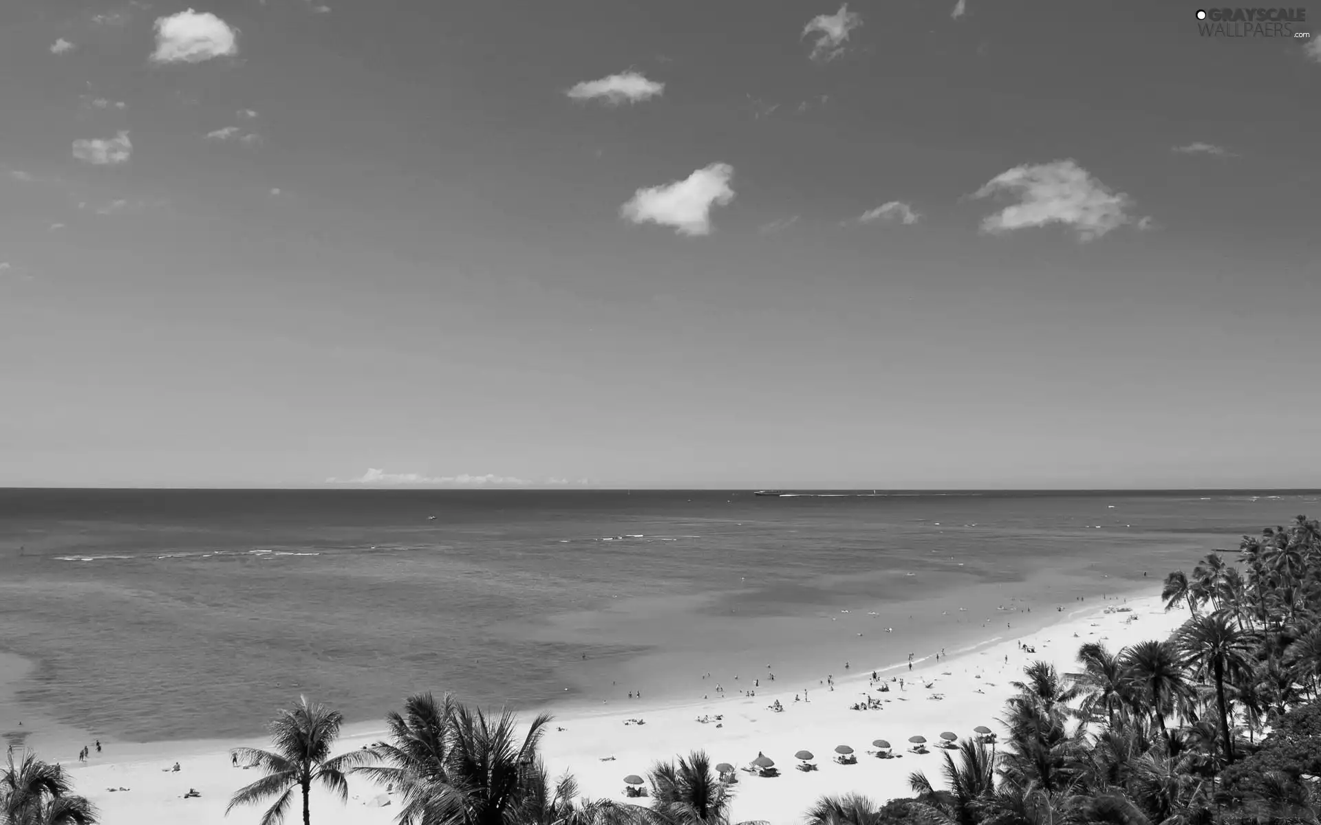 sea, Cloud, Palms, Beaches