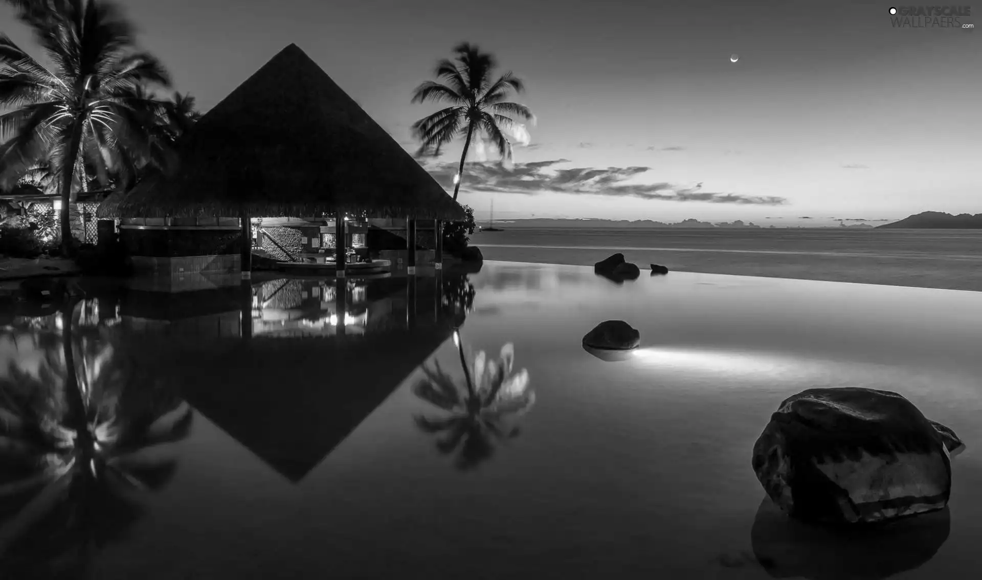 Palms, Home, sea