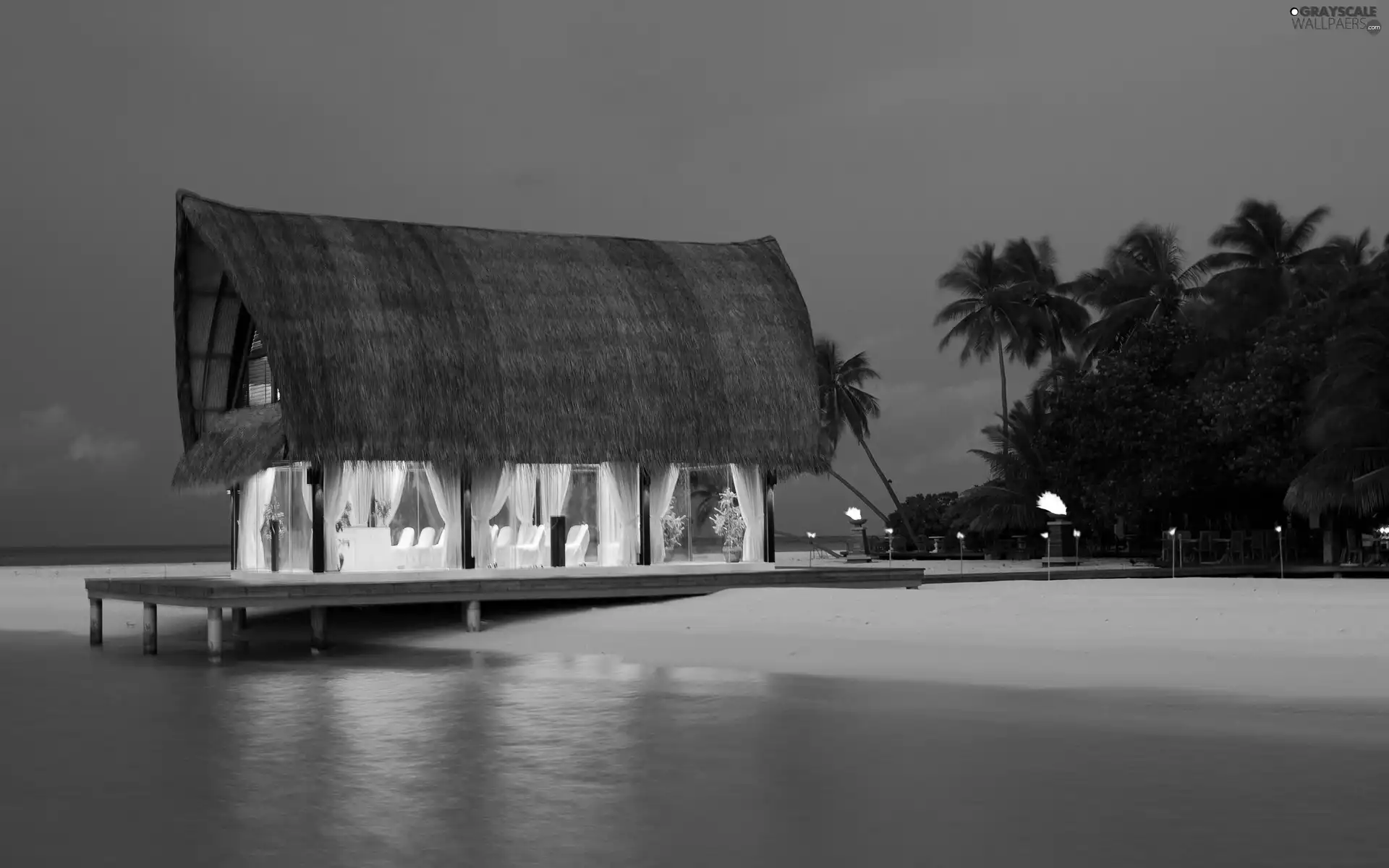 sea, house, Palms, Beaches