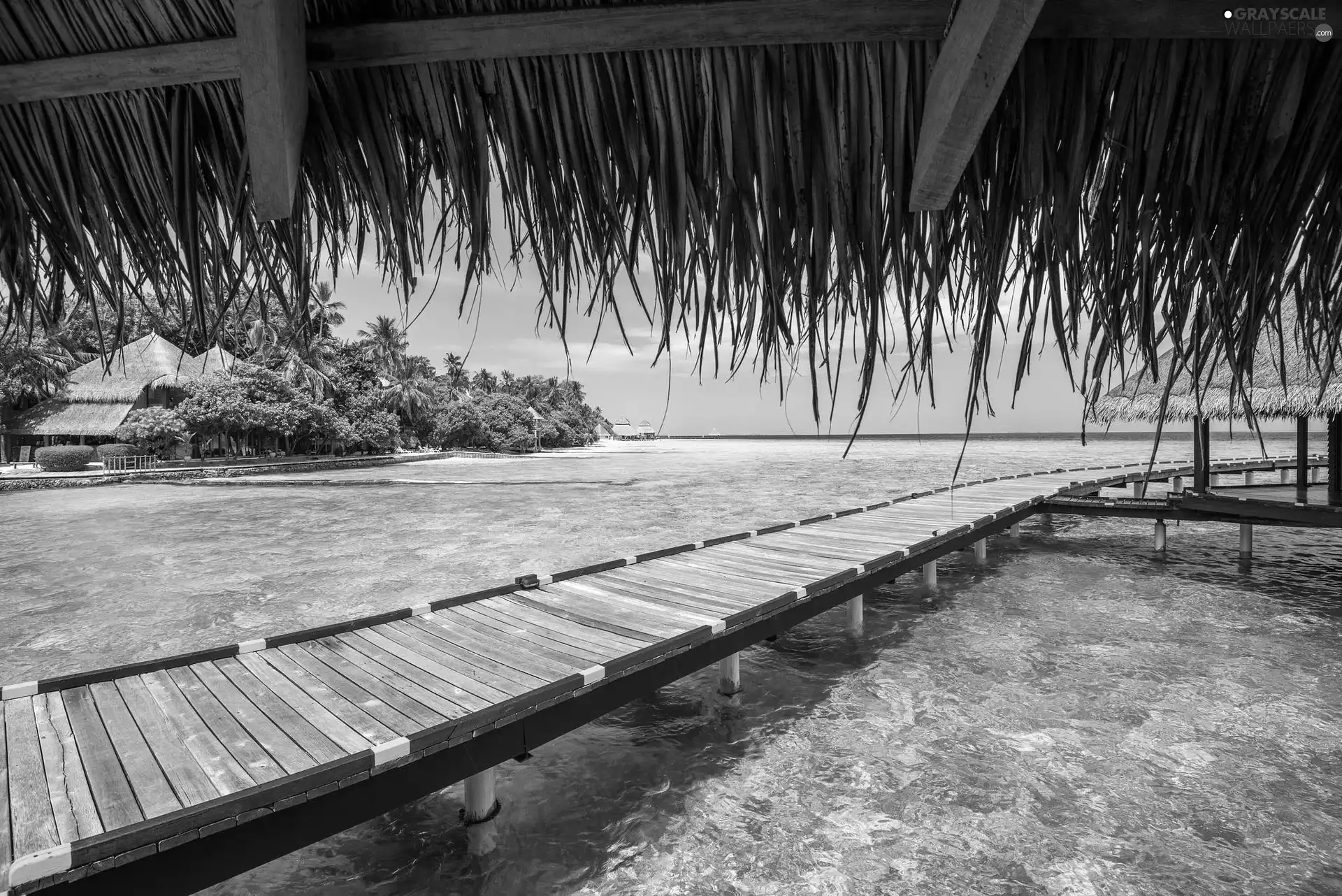 sea, Houses, Palms, pier