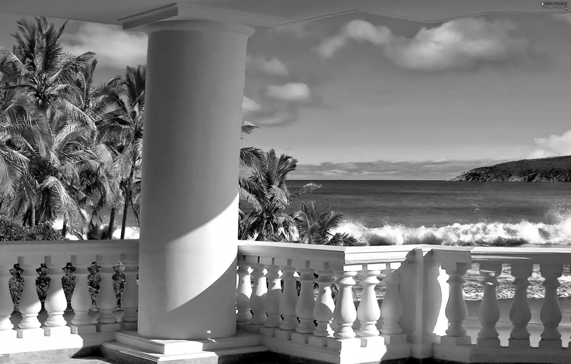 Palms, terrace, sea