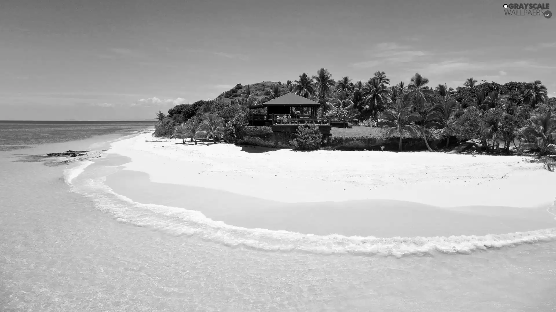 Palms, sea, Home, beach, Tropical