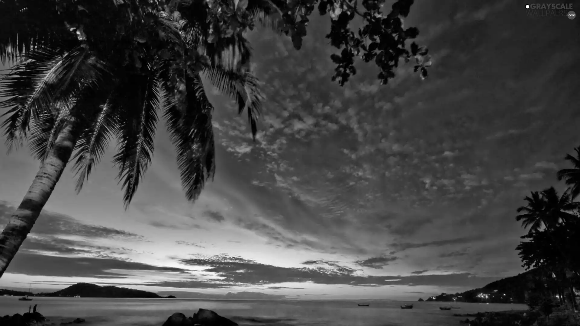 Palms, sea, sun, clouds, west